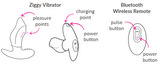 specifications of ziggy