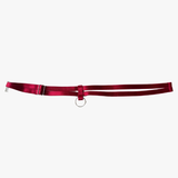 Red belt with a silver ring on a white background