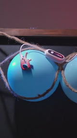 Featuring Lovense Gemini App-Controlled Vibrating Nipple Clamps