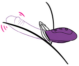 how to use Hedonist Carina Ribbed G-Spot Vibrating Dildo 1