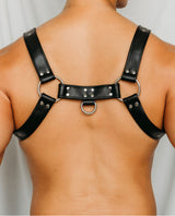 Conan Bulldog Chest Harness