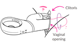 how to use Hedonist Lola Rabbit Rotating Vibrating Dildo 1