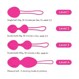 Hedone Weighted Kegel Balls