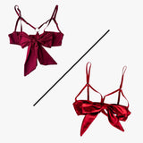 what's included for holly 2 versions