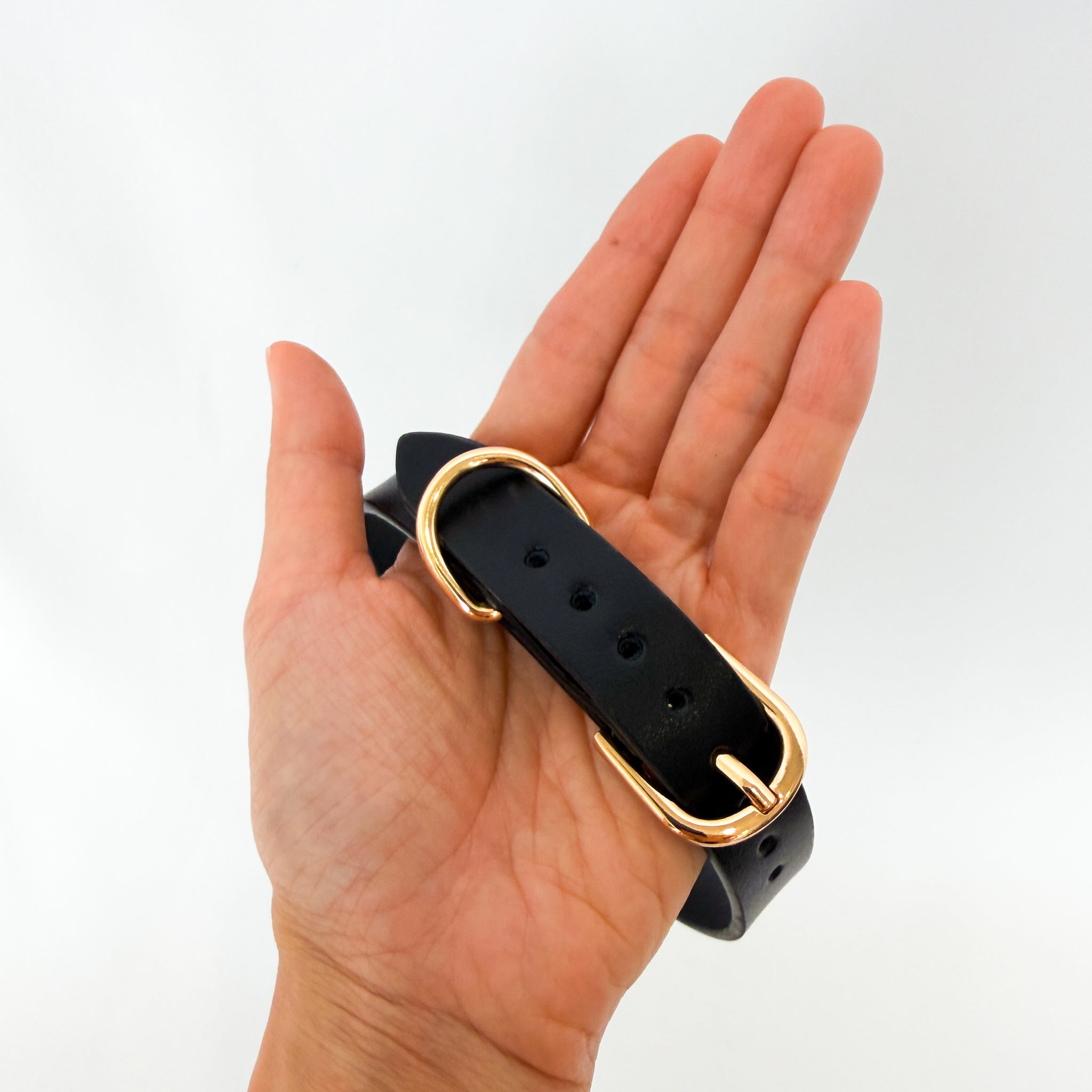 Black leather collar with gold buckle
