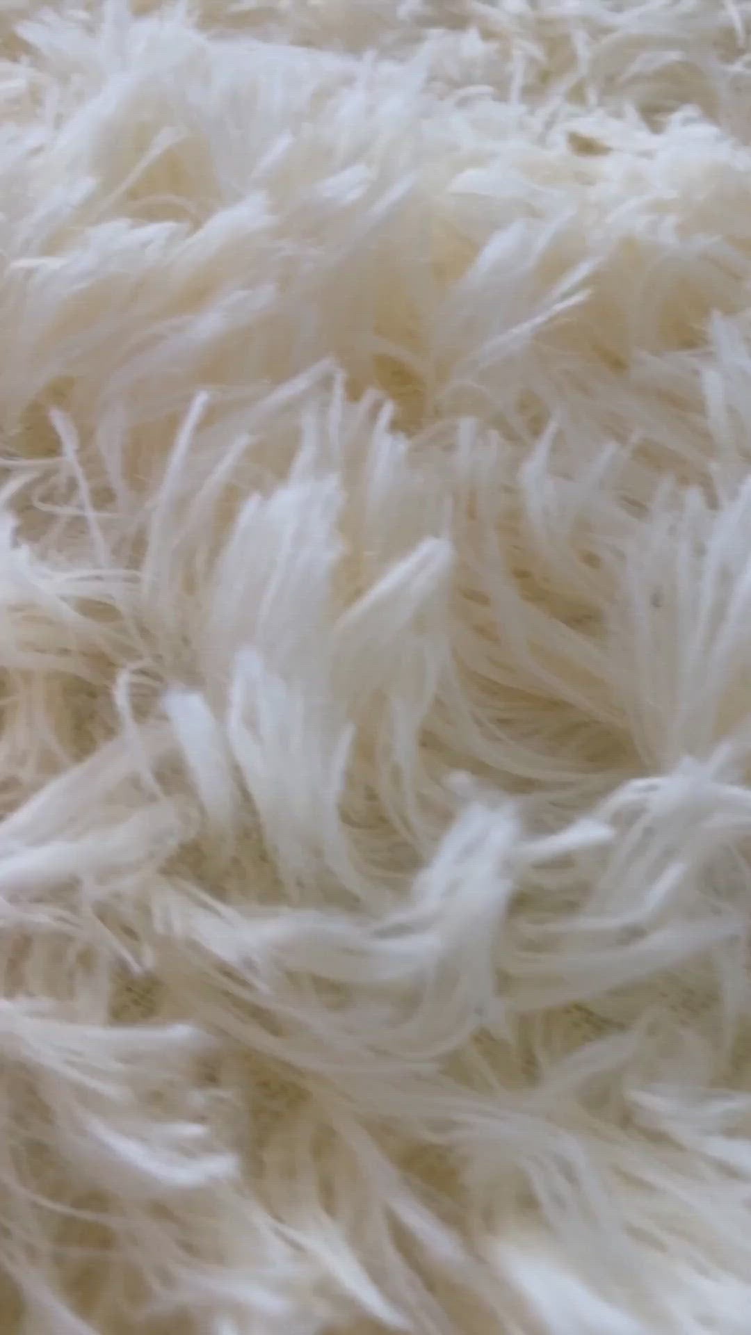 bunsy vibrator video