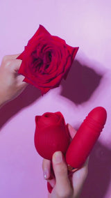 dolce vita rose video
