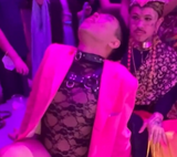 conan harness in action