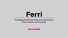 Ferri by Lovense, the perfectly  shaped magnetic remote control panty vibrator.