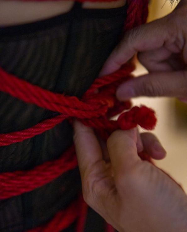 black sheer bodysuit and shibari rope bondage, red jute ropes
